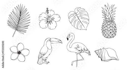Watercolor tropical elements silhouette collection featuring birds and fruits