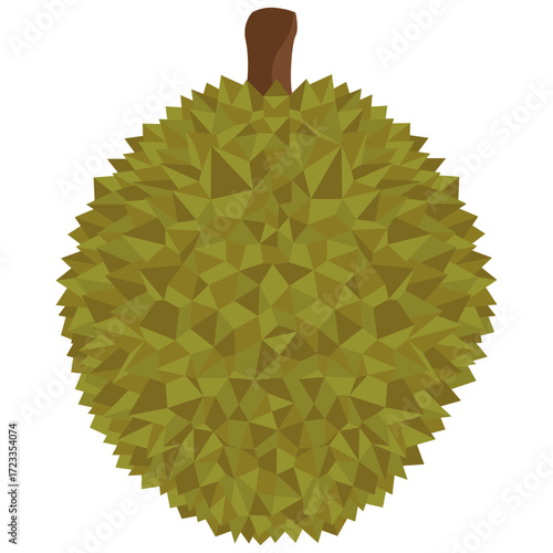 Fresh durian fruit vector drawing.