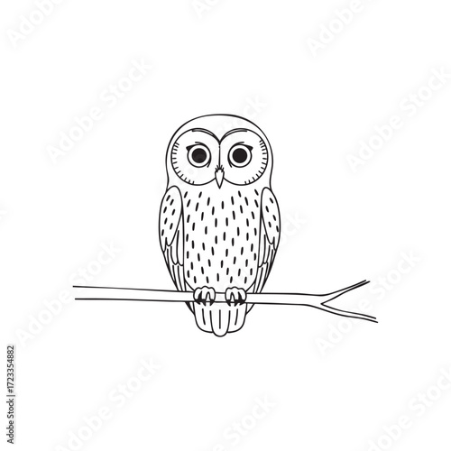 Black and white line drawing of an owl perched on a branch on a white background bird animal