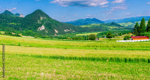 Fototapeta Naklejka Na Ścianę i Meble -  Expansive green fields stretch toward forested mountain peaks under a bright blue sky. Layers of farmland and meadows create a rich rural landscape, evoking peace, agriculture, and natural beauty. Thi