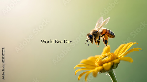 A honeybee hovers above a yellow flower on World Bee Day, highlighting pollination and environmental awareness.