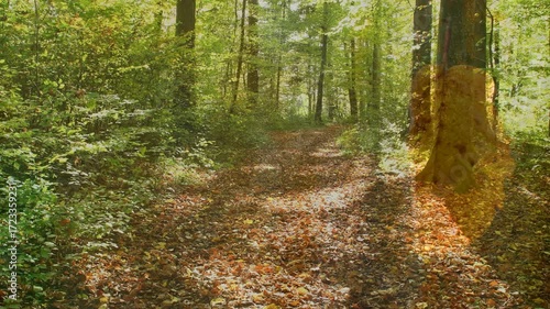 Autumn in a forest with painted fallen leaves and overlay to a dancing autumnal colored leaf on a thread