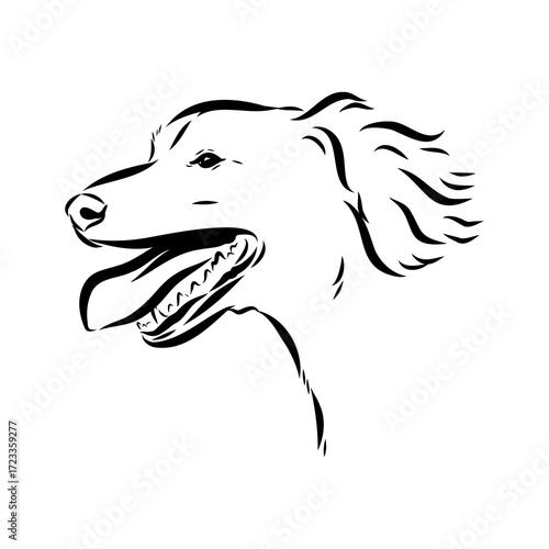 munsterlander, vector sketch