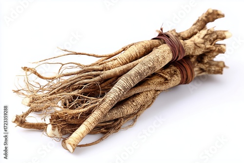 Angelica root used in chinese traditional herbal medicine, over white background. Radix angelicae sinensis