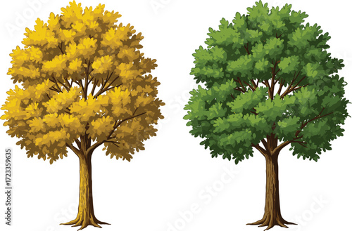 Yellow leaf tree, green leaf tree, seasonal contrast, autumn and summer, nature diversity, botanical landscape, foliage change, outdoor scene, leafy canopy, tree comparison