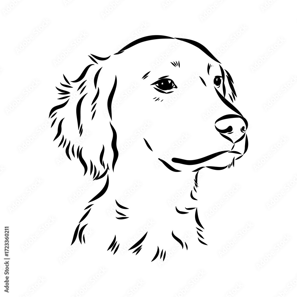 Fototapeta premium Razini's stork, vector sketch