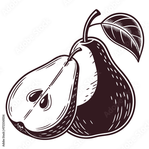 Illustration of two pears one whole and one cut in half with a leaf on a white background art