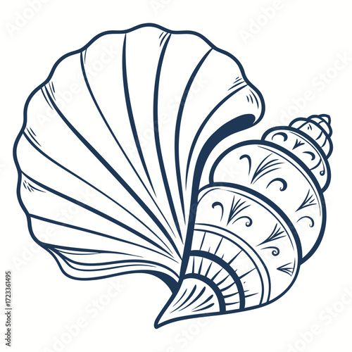 Ornate line art illustration of a conch shell combined with a fan shell design isolated on a clean.