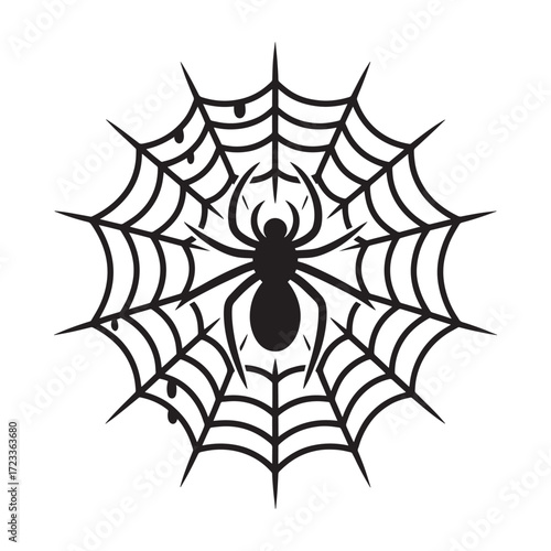  Spider silhouette on web with detailed strands and drops, black vector illustration isolated on white background