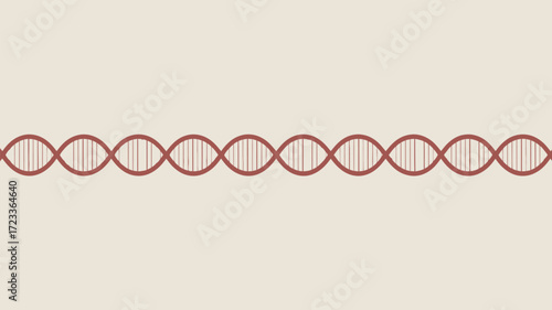 Illustration of a dna double helix strand in red on a light background in a horizontal orientation