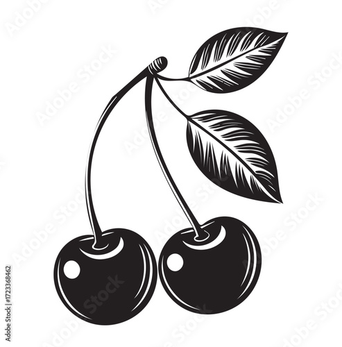 Wallpaper Mural Minimalist Black and White Cherry Illustration with Leaves Torontodigital.ca