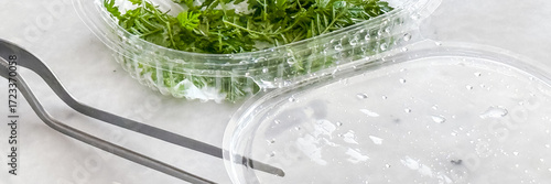 Fototapeta Glistening droplets on a plastic herb container, evoking freshness and culinary
