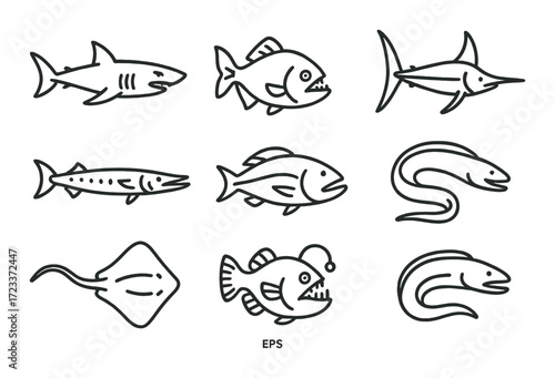 Outline illustrations of diverse sea creatures including shark, piranha, and eel