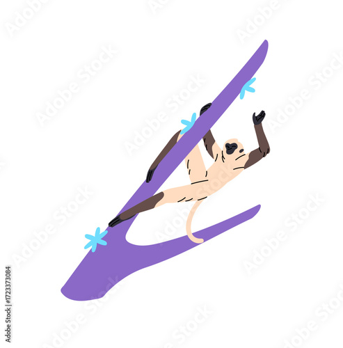 Funny little monkey of jungle is hanging on branch. Cute exotic primate is holding stem hands. Happy animal is climbing tree in tropical forest. Flat isolated vector illustration on white background.
