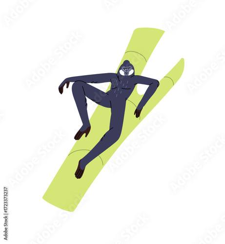 Cute gibbon relaxes on branch in jungle. Happy monkey has a rest on tree in rainforest. Funny primate, joyful animal of tropical forest is lying on sprig. Flat isolated vector illustration on white.