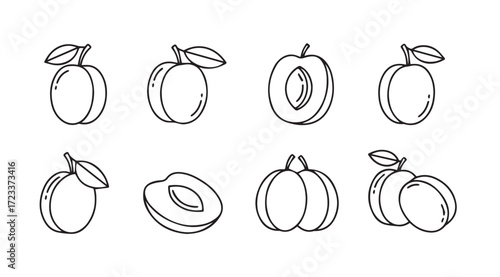 Collection of hand drawn plum fruit illustrations in a simple silhouette style