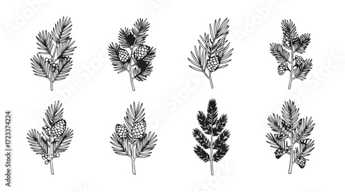 Botanical elements collection hand drawn nature sprigs and leaves for design projects silhouette