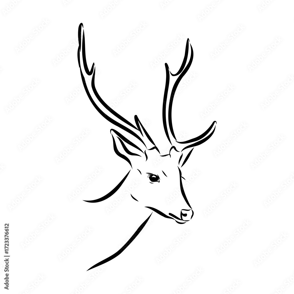 Naklejka premium Axis the deer, vector sketch