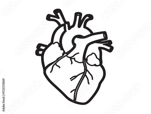 Medical health illustration featuring cardiovascular disease prevention concept