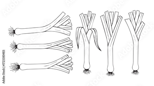 Fresh asparagus bundles and spring onion grouping for culinary photography and food content silhouette