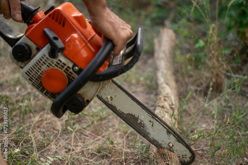 Wallpaper Mural A person uses a chainsaw to cut through a thick log in a garden area surrounded by greenery. The outdoor work involves tree maintenance and cleanup efforts. Torontodigital.ca