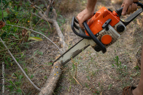 Wallpaper Mural A person uses a chainsaw to cut through a thick log in a garden area surrounded by greenery. The outdoor work involves tree maintenance and cleanup efforts. Torontodigital.ca