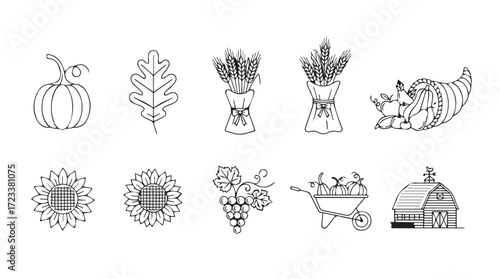 Hand drawn thanksgiving harvest elements collection pumpkin cornucopia leaves wheat grains and barn silhouette