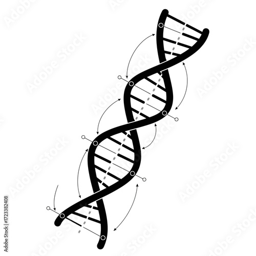 Black dna double helix with arrows silhouette isolated on white background