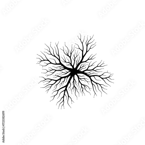 Black tree branches silhouette isolated on white background
