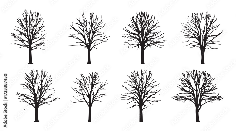Obraz premium Collection of eight bare winter trees with intricate branching structures for natural design silhouette