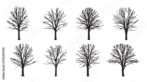 Collection of eight bare winter trees with intricate branching structures for natural design silhouette