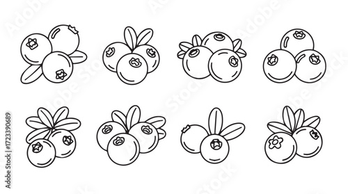 Hand drawn collection of fresh blueberries with leaves isolated sketches for healthy food design elements silhouette