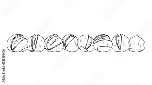 Hand drawn sketch of walnuts arranged in a row detailed and realistic food art silhouette