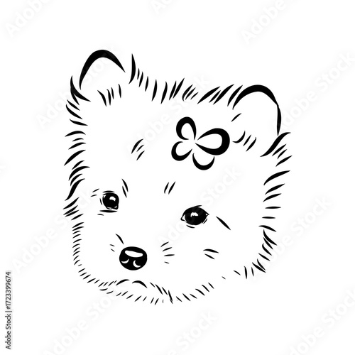 Beaver Yorkshire terrier, vector sketch