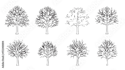 Collection of eight distinct hand-drawn tree outlines for nature and design projects silhouette