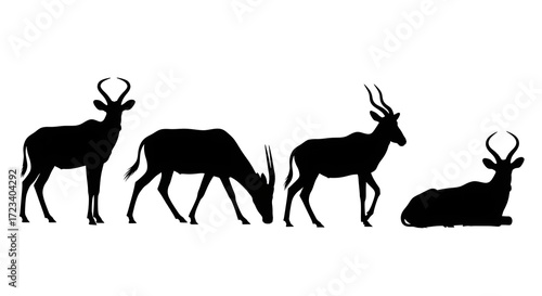 Silhouettes of four hartebeests in different poses isolated on white background