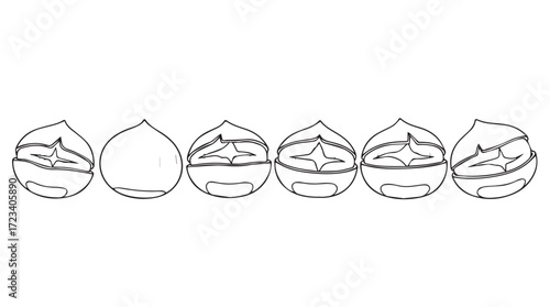 Line drawing of six whole chestnuts arranged in a row isolated on silhouette