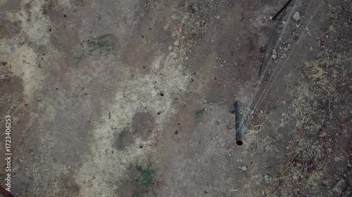 Lush Vineyard Rows Bathed in Warm Light, Ready for Harvest, with Workers Tending Grapes in the Distance