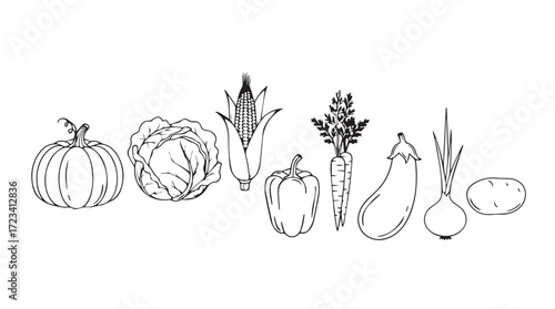 Hand drawn collection of fresh vegetables and produce freshly harvested from the farm silhouette