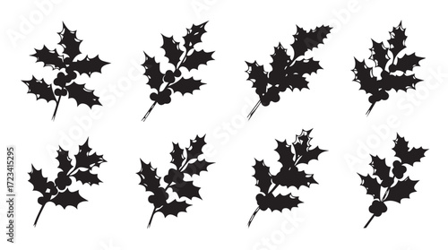 Festive holly branches with red berries collection for holiday decoration and design elements silhouette