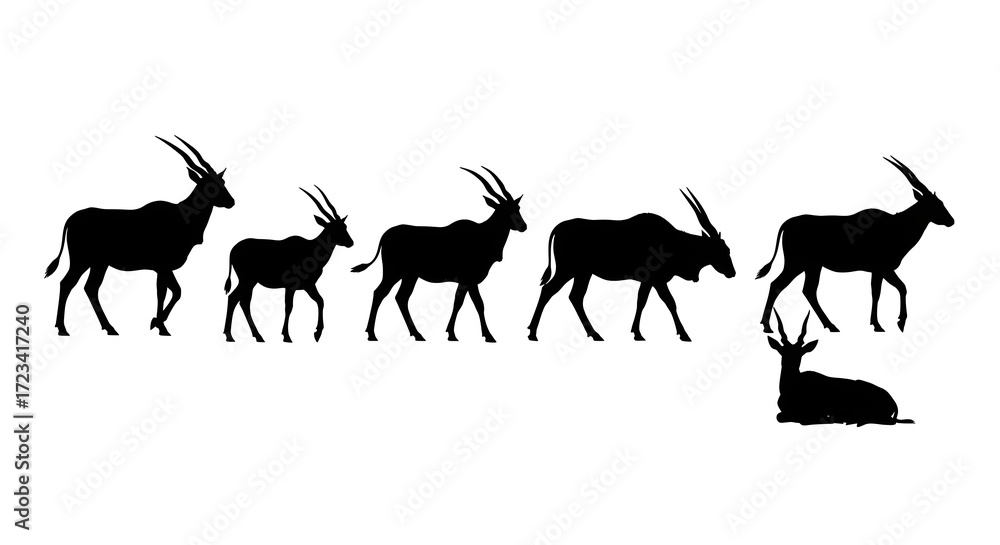 Fototapeta premium Silhouette of sable antelopes isolated on white background in different positions