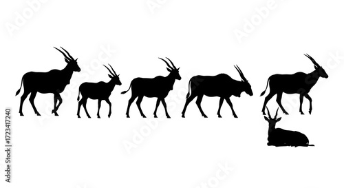 Silhouette of sable antelopes isolated on white background in different positions