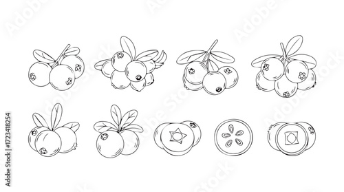 Hand drawn sketch set of fresh fruits and vegetables isolated on white surface silhouette