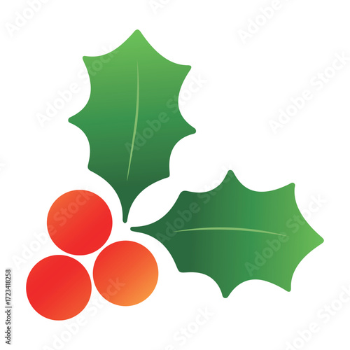 Christmas holly leaves and berries_Holiday vector illustration