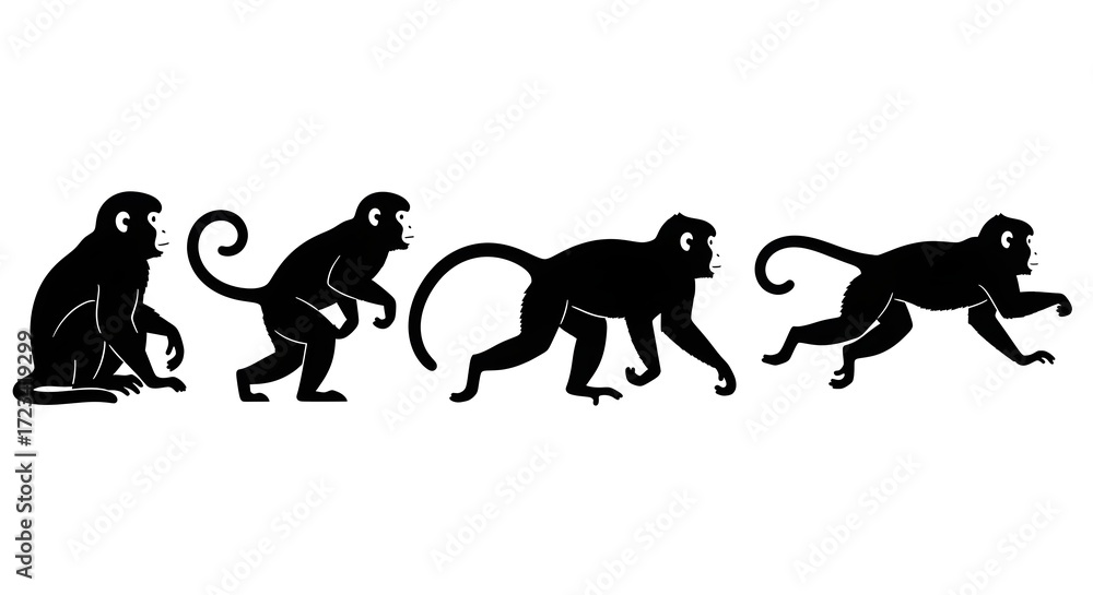 Obraz premium Four monkeys in different poses isolated on white background, black silhouettes