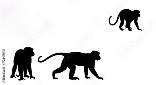 Silhouetted monkeys are depicted against an isolated on white background