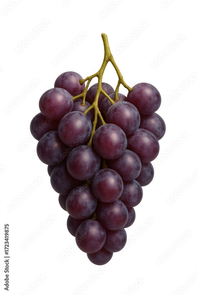 Fototapeta premium Bunch of red grapes hanging on transparent background