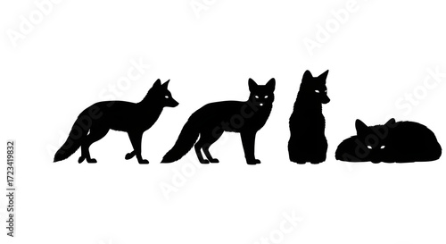 Silhouette of four foxes isolated on white background in different poses