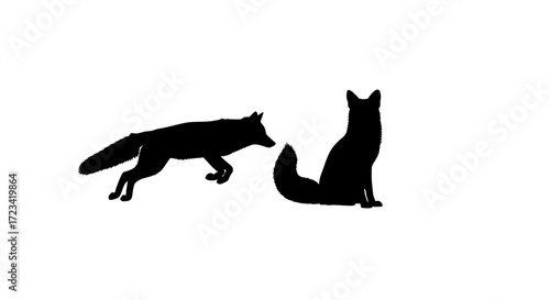 Silhouette of two foxes isolated on white background, one jumping and one sitting