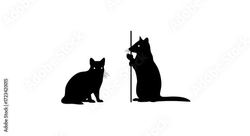 Silhouette of a cat and a ferret isolated on white background, standing up
